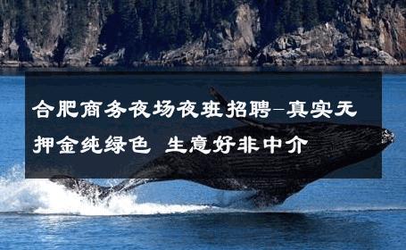 合肥商务夜场夜班招聘-真实无押金纯绿色 生意好非中介