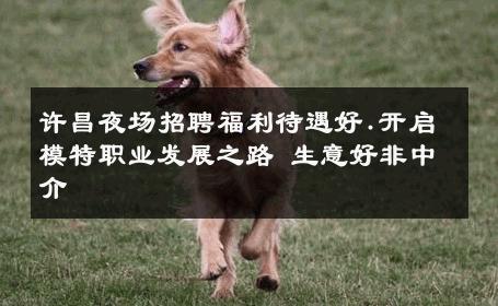 许昌夜场招聘福利待遇好.开启模特职业发展之路 生意好非中介