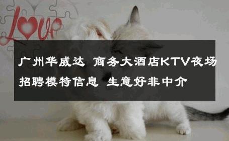 广州华威达 商务大酒店KTV夜场招聘模特信息 生意好非中介