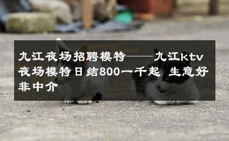 九江夜场招聘模特——九江ktv夜场模特日结800一千起 生意好非中介