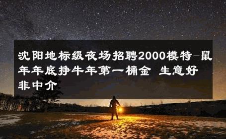 沈阳地标级夜场招聘2000模特-鼠年年底挣牛年第一桶金 生意好非中介