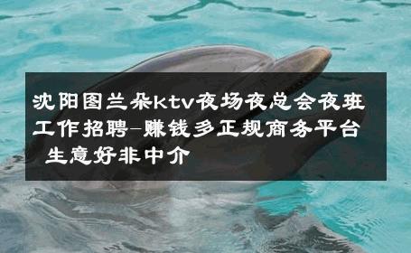 沈阳图兰朵ktv夜场夜总会夜班工作招聘-赚钱多正规商务平台 生意好非中介