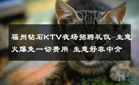 福州钻石KTV夜场招聘礼仪-生意火爆免一切费用 生意好非中介