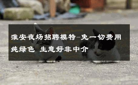 淮安夜场招聘模特-免一切费用纯绿色 生意好非中介