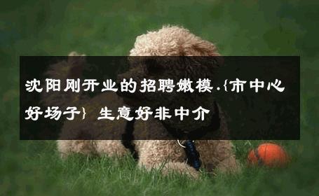 沈阳刚开业的招聘嫩模.{市中心好场子} 生意好非中介