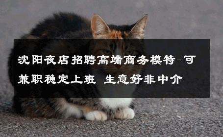 沈阳夜店招聘高端商务模特-可兼职稳定上班 生意好非中介
