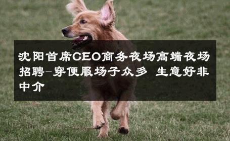 沈阳首席CEO商务夜场高端夜场招聘-穿便服场子众多 生意好非中介