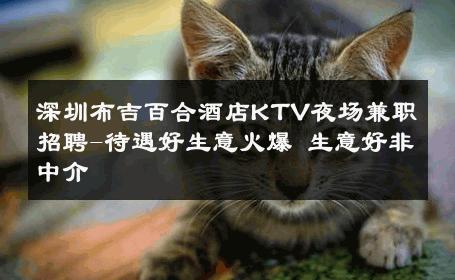 深圳布吉百合酒店KTV夜场兼职招聘-待遇好生意火爆 生意好非中介