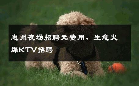 惠州夜场招聘无费用，生意火爆KTV招聘