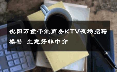沈阳万紫千红商务KTV夜场招聘模特 生意好非中介