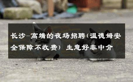 长沙-高端的夜场招聘(温德姆安全保障不收费) 生意好非中介