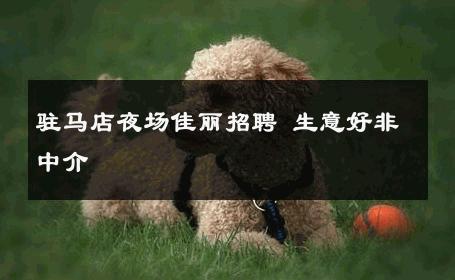 驻马店夜场佳丽招聘 生意好非中介