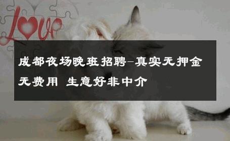 成都夜场晚班招聘-真实无押金无费用 生意好非中介