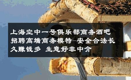上海空中一号俱乐部商务酒吧招聘高端商务模特-安全合法长久赚钱多 生意好非中介