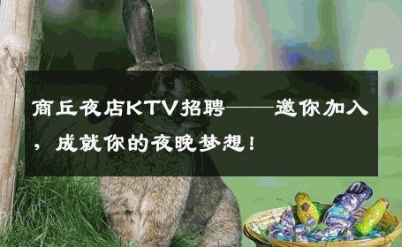 商丘夜店KTV招聘——邀你加入，成就你的夜晚梦想！