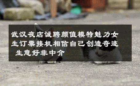 武汉夜店诚聘颜值模特魅力女生订票接机相信自己创造奇迹 生意好非中介