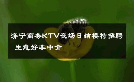济宁商务KTV夜场日结模特招聘 生意好非中介