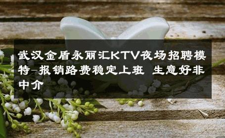 武汉金盾永丽汇KTV夜场招聘模特-报销路费稳定上班 生意好非中介