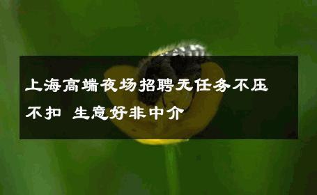 上海高端夜场招聘无任务不压不扣 生意好非中介