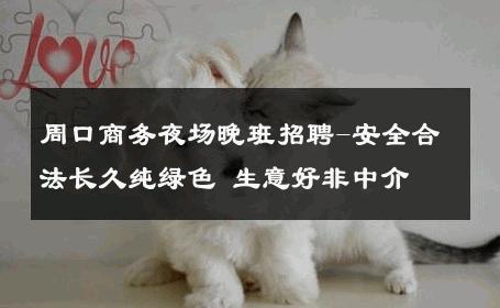周口商务夜场晚班招聘-安全合法长久纯绿色 生意好非中介