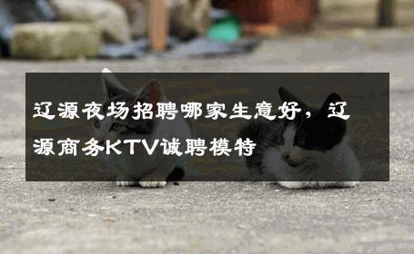 辽源夜场招聘哪家生意好，辽源商务KTV诚聘模特