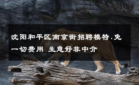 沈阳和平区南京街招聘模特.免一切费用 生意好非中介
