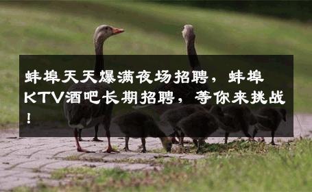 蚌埠天天爆满夜场招聘，蚌埠KTV酒吧长期招聘，等你来挑战！