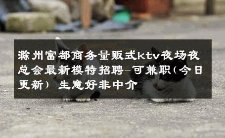滁州富都商务量贩式ktv夜场夜总会最新模特招聘-可兼职(今日更新) 生意好非中介