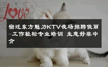 宿迁东方魅力KTV夜场招聘佳丽-工作轻松专业培训 生意好非中介
