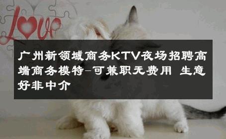 广州新领域商务KTV夜场招聘高端商务模特-可兼职无费用 生意好非中介