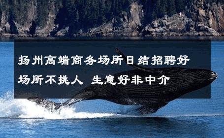 扬州高端商务场所日结招聘好场所不挑人 生意好非中介