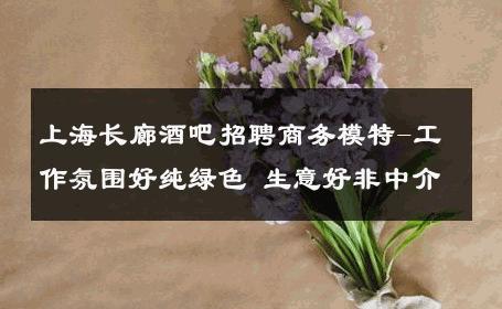 上海长廊酒吧招聘商务模特-工作氛围好纯绿色 生意好非中介