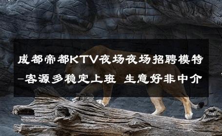 成都帝都KTV夜场夜场招聘模特-客源多稳定上班 生意好非中介