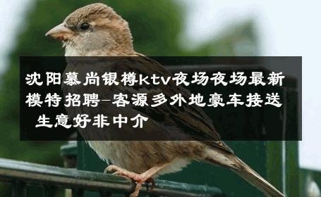 沈阳慕尚银樽ktv夜场夜场最新模特招聘-客源多外地豪车接送 生意好非中介