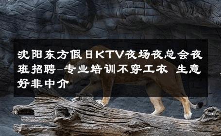 沈阳东方假日KTV夜场夜总会夜班招聘-专业培训不穿工衣 生意好非中介