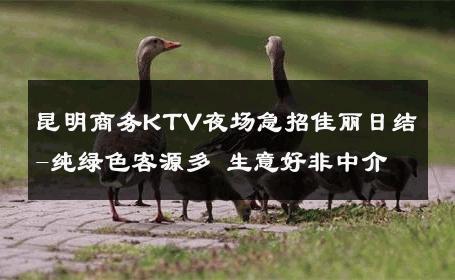 昆明商务KTV夜场急招佳丽日结-纯绿色客源多 生意好非中介