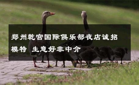 郑州乾宫国际俱乐部夜店诚招模特 生意好非中介