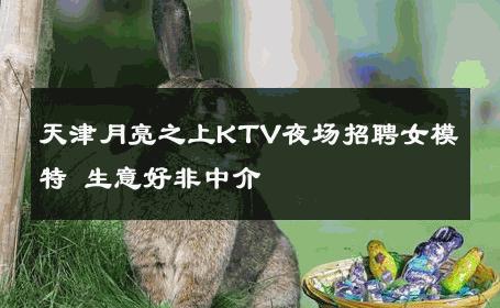 天津月亮之上KTV夜场招聘女模特 生意好非中介