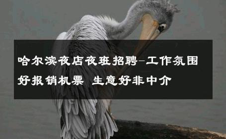 哈尔滨夜店夜班招聘-工作氛围好报销机票 生意好非中介