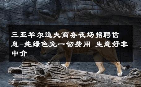 三亚华尔道夫商务夜场招聘信息-纯绿色免一切费用 生意好非中介