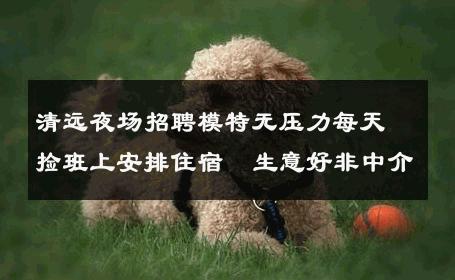 清远夜场招聘模特无压力每天捡班上安排住宿  生意好非中介