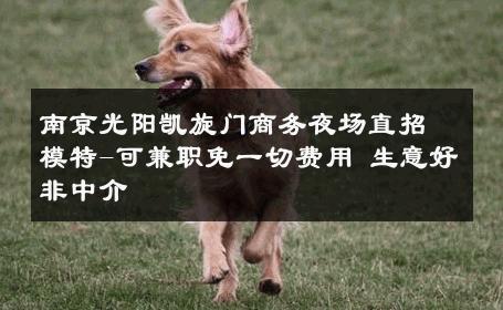 南京光阳凯旋门商务夜场直招模特-可兼职免一切费用 生意好非中介