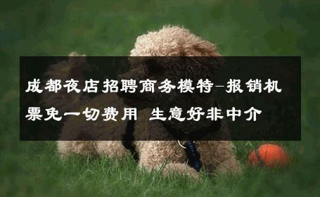 成都夜店招聘商务模特-报销机票免一切费用 生意好非中介