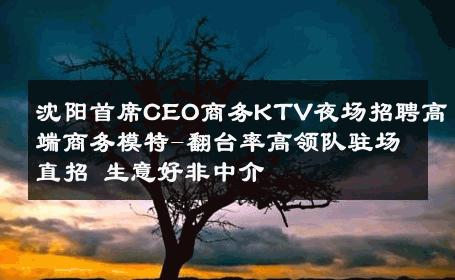 沈阳首席CEO商务KTV夜场招聘高端商务模特-翻台率高领队驻场直招 生意好非中介