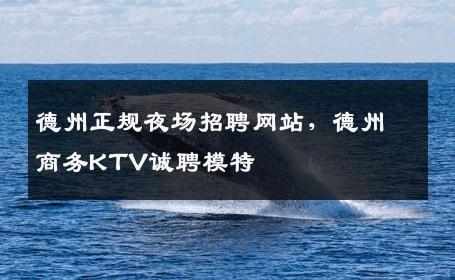 德州正规夜场招聘网站，德州商务KTV诚聘模特