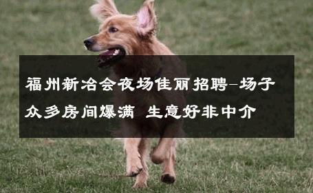 福州新冶会夜场佳丽招聘-场子众多房间爆满 生意好非中介