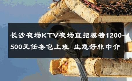 长沙夜场KTV夜场直招模特1200-1500无任务包上班 生意好非中介