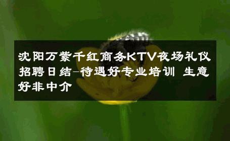 沈阳万紫千红商务KTV夜场礼仪招聘日结-待遇好专业培训 生意好非中介