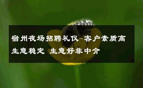 宿州夜场招聘礼仪-客户素质高生意稳定 生意好非中介