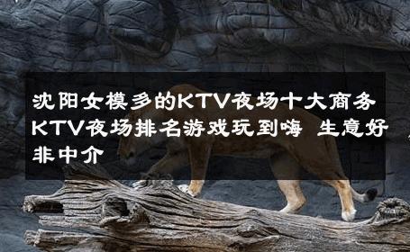 沈阳女模多的KTV夜场十大商务KTV夜场排名游戏玩到嗨 生意好非中介